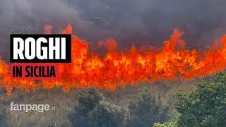 La Sicilia nella morsa degli incendi le immagini dei roghi in vari punti dellisola