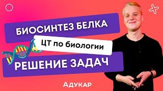 Биосинтез белка  Решение задач по биологии  Биология ЦТ ЦЭ ЕГЭ 2023  Уроки по биологии