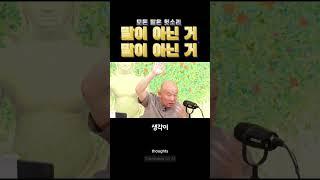 모든 말이 헛소리