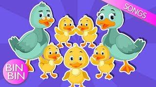 Five Little Ducks - Learn English Songs for Children  BinBin - Nursery Rhymes and Kids Songs