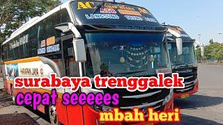 Bus harapan jaya MERCY  surabaya trenggalek DRIVER Mr MBAH HERI