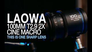 LAOWA 100MM T2.9 2X CINE MACRO Review - This lens is great