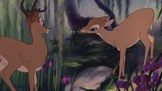 Bambi - Bambi finds Faline HD