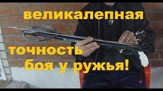 Подводная охота Бюджетное ружьё с великолепной точностью боя