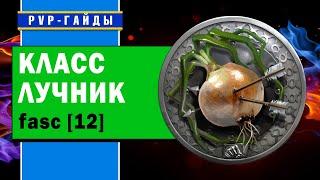 Видео-гайд игры классом Лучник 12 уровня – Бойцовский клуб fasc