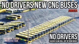 No Drivers New JUTC Bus Jamaica