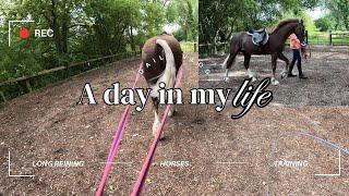 A DAY IN MY LIFE AS AN EQUESTRIAN WITH 5 HORSES  HORSE VLOG