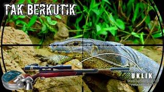 pest control. huntingg biawak tekukur ruak ruak.