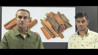 CRPF TRADESMEN COOK TRADE TEST UPDATE By Amit Sir