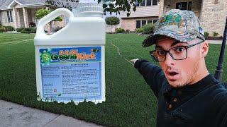 N-Ext™ Greene Kick for stressed Turf  N-Ext™ DIY Lawn Care Tips