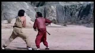 Jackie Chan vs Hwang Jang Lee- Snake In The Eagles Shadow End Fight HQ.m4v