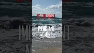 Live In The Moment #lovelife #liverightnow #specialmomentsnow #lifewithsandrahart