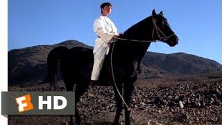 The Black Stallion Returns 1983 - You Are The One Rider Scene 812  Movieclips