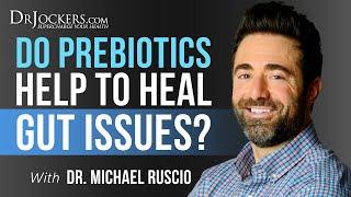 Do Prebiotics Help To Heal Gut Issues?