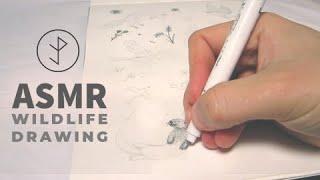 Wildlife Drawing  ASMR Real Time Drawing  Sketching pencil - Pen Strokes