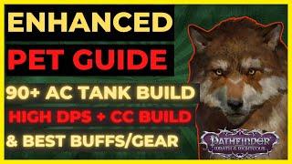 PF WOTR ENHANCED - PET GUIDE BEST PETS 90+ AC TANK & DPSCC BUILDS Best BUFFS & GEAR