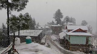 Live Snowfall  Himachal Pradesh India