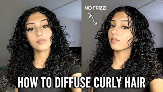HOW TO DIFFUSE CURLY HAIR  No Frizz & Quick for Beginners