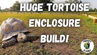 Building A HUGE DIY Tortoise Enclosure For My Sulcatas Pt.1