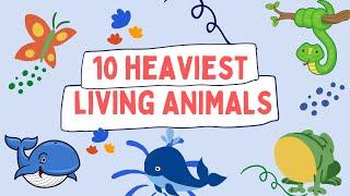 10 HEAVIEST LIVING ANIMALS  Animal Vocabulary  Animal Kingdom 