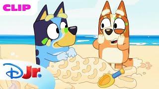 Bluey Season 1 The Beach Episode Clip  @disneyjr x @BlueyOfficialChannel