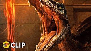 Baryonyx Attack Scene  Jurassic World Fallen Kingdom 2018 Movie Clip HD 4K