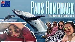 HUMPBACK WHALE WATCHING  EXPERIENCE  Jervis Bay - AUSTRALIA 
