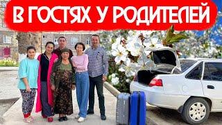 В ГОСТИ К РОДИТЕЛЯМ  ПРОГУЛКА ПО КАРШИ