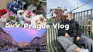 Prague Travel Vlog  4 дня в Праге прогулки покупки еда влог
