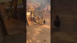 SONDAKİKA  Çanakkale’de çıkan yangın nedeniyle köyler boşaltıldı.