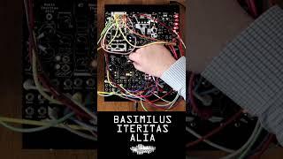 Basimilus Iteritas Alia  Noise Engineering #shorts
