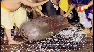 Behold The Adhara Pana offering to Mahaprabhu Jagannath