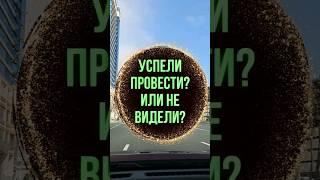  Все Сделали? Или не видели?