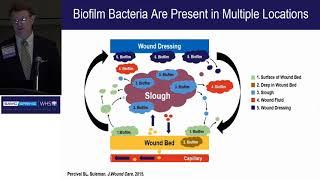 Optimizing Chronic Wound Management Outcomes Through Biofilm Based Wound Management