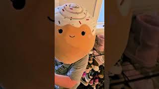 Look What Just Walked Into My HOUSE #shorts #squishmallows #funny