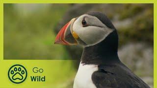 The Hebrides Land of Legends - Wildest Islands - Go Wild