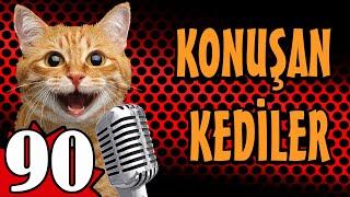 Konuşan Kediler 90 En Komik Kedi Videoları PATİ TV