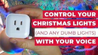 How to Control Your Christmas Lights and any dumb lights with just your Voice