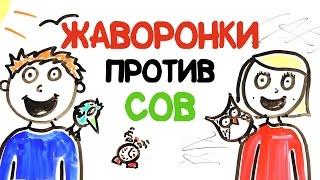 Жаворонки против сов AsapSCIENCE