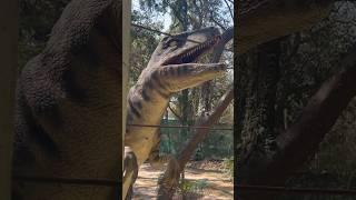 JURASSIC PARK TOUR #jurassicpark #jurassicworld #dinosaur #trexchase #dinosaus #shorts #viral #trend