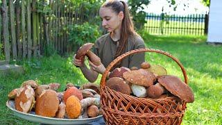 Picking and cooking Porcini mushrooms INCREDIBLY TASTY. Life in the village