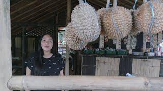 BIKIN BETAH Warung Terpencil dan Tertinggi Diatas Bukit