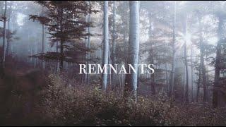 Dan Caine - Remnants