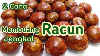 Cara Membuang Bau Jengkol  Racun Jengkol  Getah Jengkol #jengkol