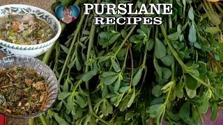How To Cook Purslane  Loaded With Antioxidant  Higher With Omega3 Fatty Acid Kantataba