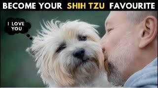 How Shih tzu Choose Their Favorite Person - Finally Secrets Revealed