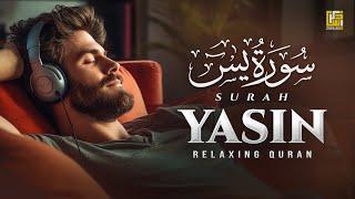 Ramadan Special  Surah Yasin Yaseen سورة يس  Relaxing Heart Touching Recitation  Zikrullah TV
