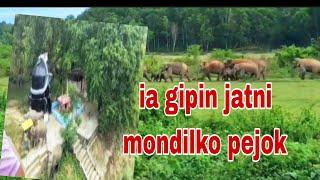 Gipin jatni Mite manigipa mondil nokko mongma jilma pea