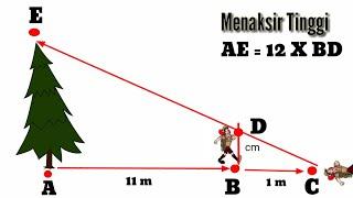 belajar Pramuka MENAKSIR TINGGI POHON