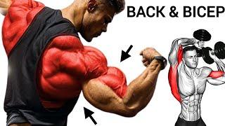 best back and bicep workout at gym - back biceps